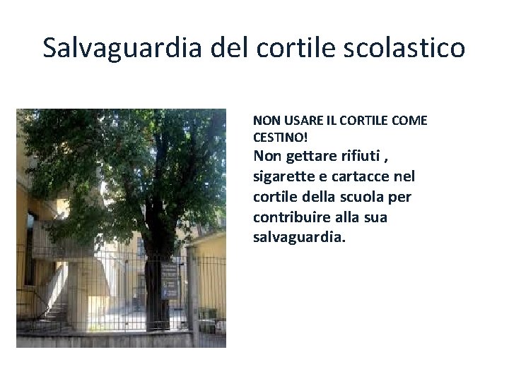 Salvaguardia del cortile scolastico NON USARE IL CORTILE COME CESTINO! Non gettare rifiuti ,