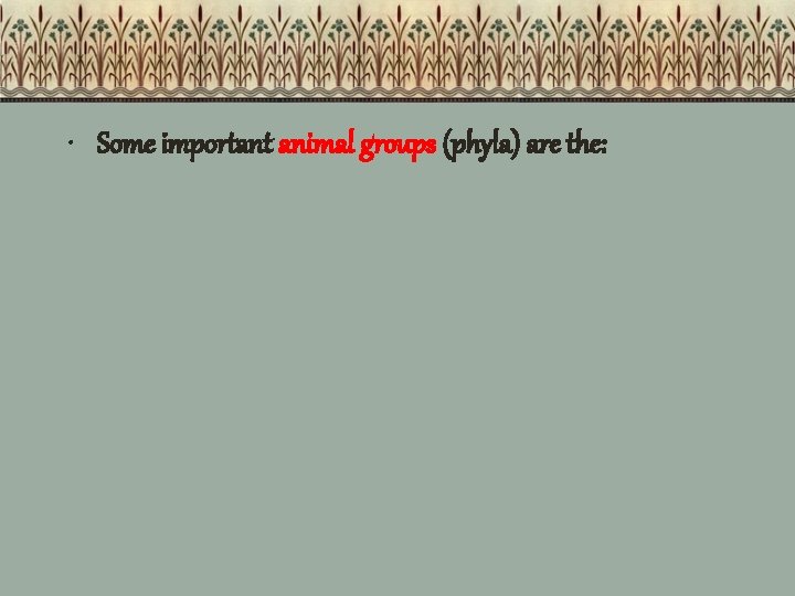  • Some important animal groups (phyla) are the: 