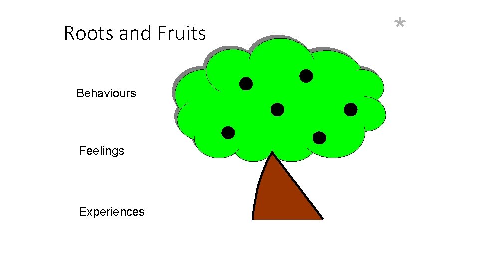 Roots and Fruits Behaviours Feelings Experiences * 