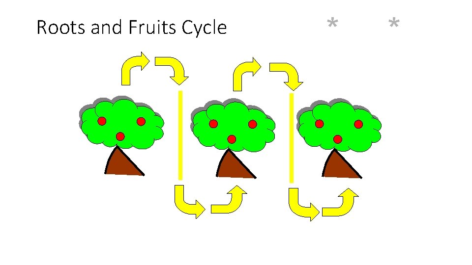 Roots and Fruits Cycle * * 