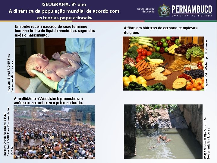 GEOGRAFIA, 9º ano A dinâmica da população mundial de acordo com as teorias populacionais.