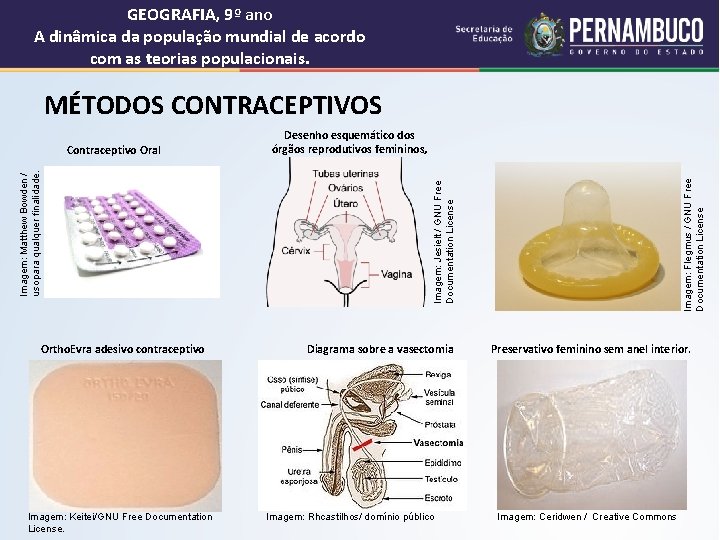 GEOGRAFIA, 9º ano A dinâmica da população mundial de acordo com as teorias populacionais.