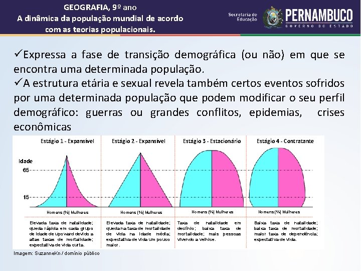 GEOGRAFIA, 9º ano A dinâmica da população mundial de acordo com as teorias populacionais.