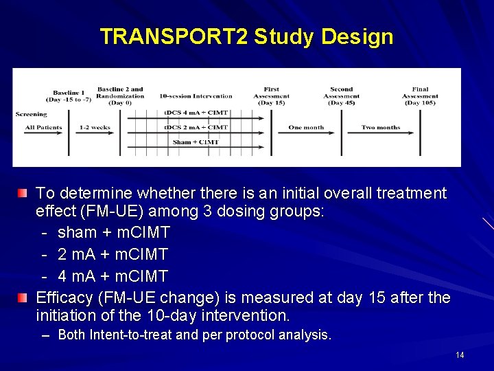 TRANSPORT 2 Study Design To determine whethere is an initial overall treatment effect (FM-UE)