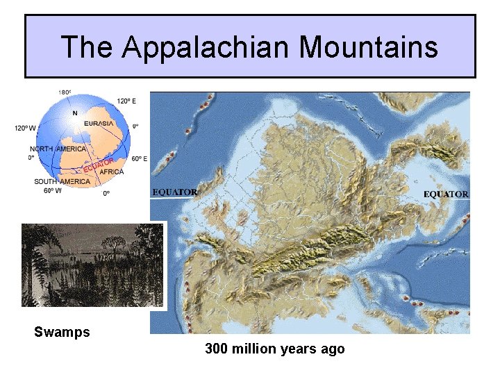 The Appalachian Mountains Swamps 300 million years ago 