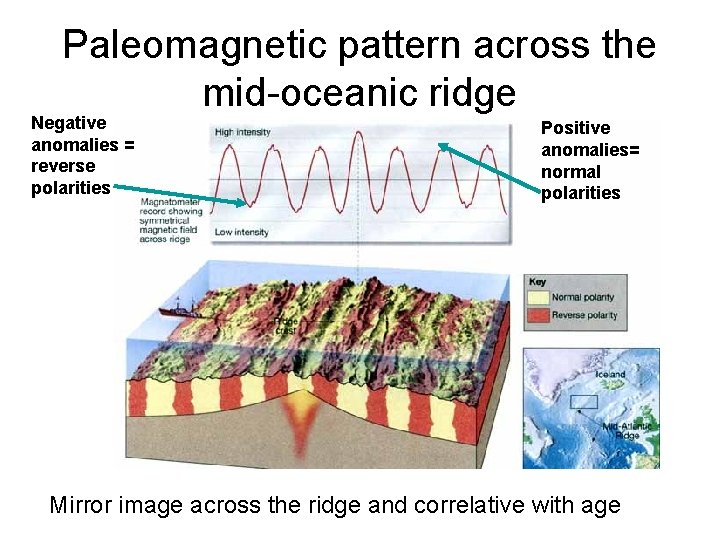 Paleomagnetic pattern across the mid-oceanic ridge Negative anomalies = reverse polarities Positive anomalies= normal