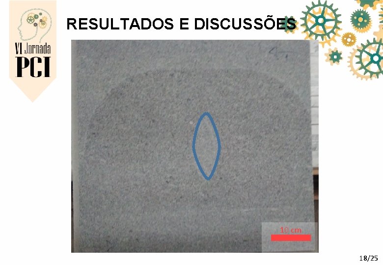 RESULTADOS E DISCUSSÕES 10 cm 18/25 RESULTADOS E DISCUSSÕES 10 cm 18/25