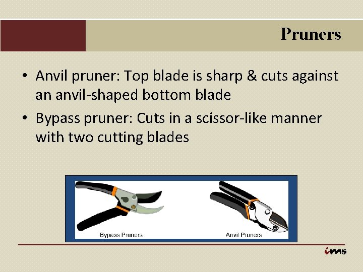 Pruners • Anvil pruner: Top blade is sharp & cuts against an anvil-shaped bottom