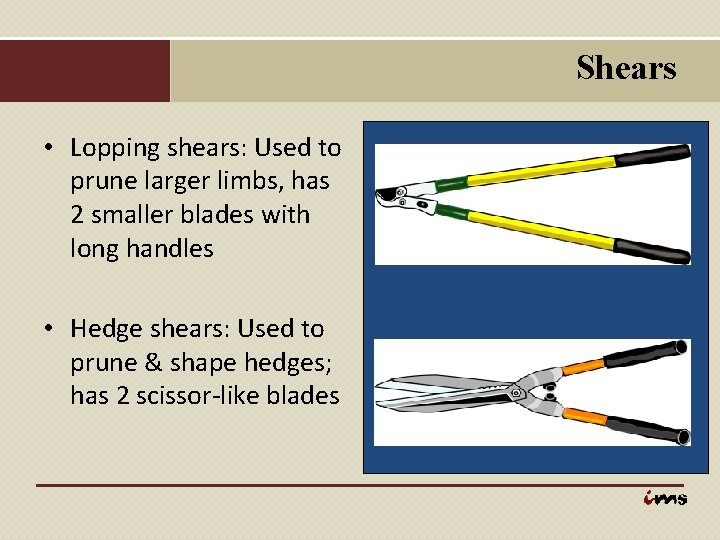Shears • Lopping shears: Used to prune larger limbs, has 2 smaller blades with