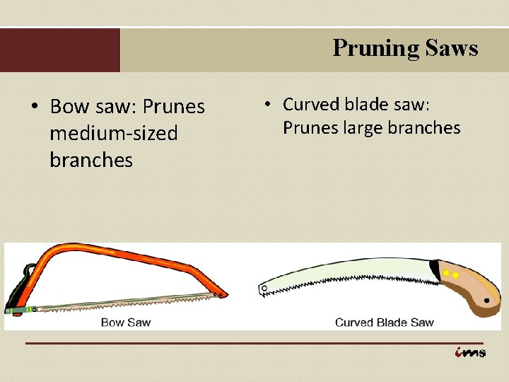 Pruning Saws • Bow saw: Prunes medium-sized branches • Curved blade saw: Prunes large