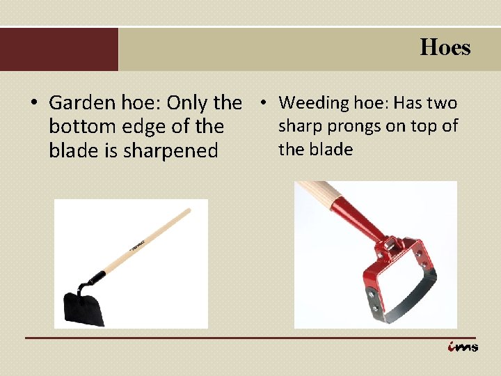 Hoes • Garden hoe: Only the • Weeding hoe: Has two sharp prongs on