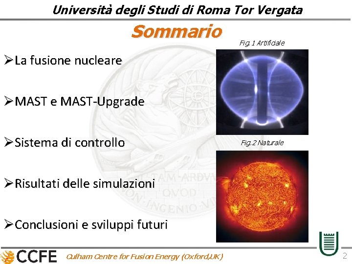 Università degli Studi di Roma Tor Vergata Sommario Fig. 1 Artificiale ØLa fusione nucleare