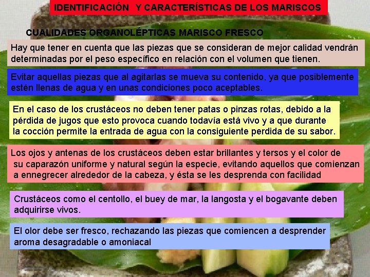 IDENTIFICACIÓN Y CARACTERÍSTICAS DE LOS MARISCOS CUALIDADES ORGANOLÉPTICAS MARISCO FRESCO Hay que tener en