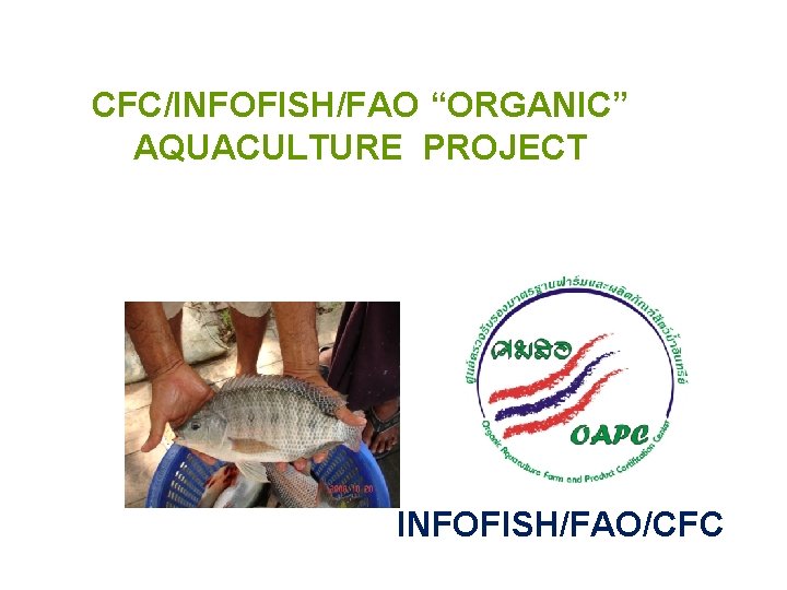CFC/INFOFISH/FAO “ORGANIC” AQUACULTURE PROJECT INFOFISH/FAO/CFC 