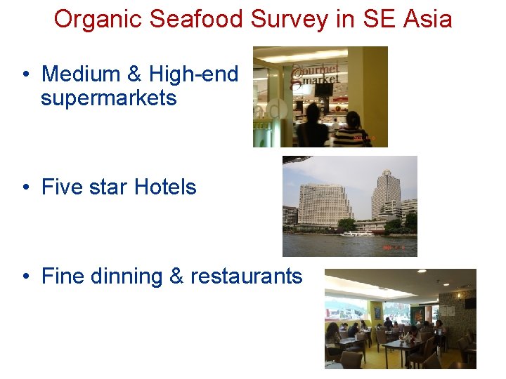Organic Seafood Survey in SE Asia • Medium & High-end supermarkets • Five star