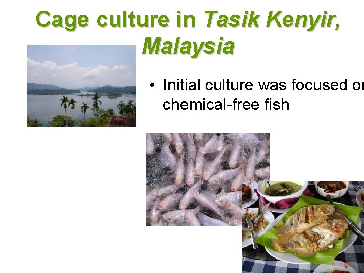 Cage culture in Tasik Kenyir, Malaysia • Initial culture was focused on chemical-free fish