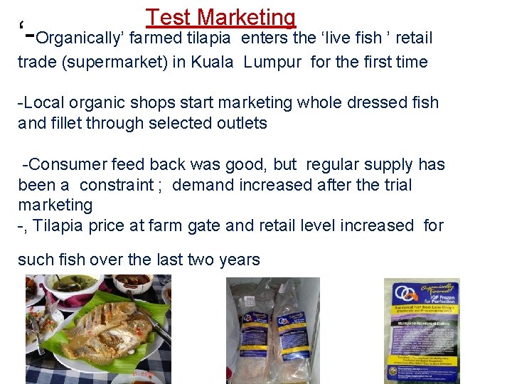 Test Marketing ‘-Organically’ farmed tilapia enters the ‘live fish ’ retail trade (supermarket) in