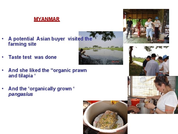 MYANMAR • A potential Asian buyer visited the farming site • Taste test was