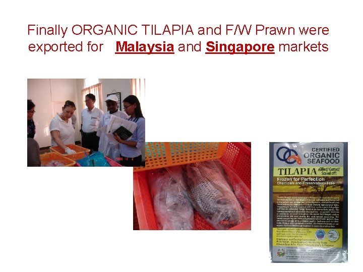 Finally ORGANIC TILAPIA and F/W Prawn were exported for Malaysia and Singapore markets 