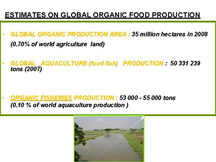 ESTIMATES ON GLOBAL ORGANIC FOOD PRODUCTION • GLOBAL ORGANIC PRODUCTION AREA : 35 million
