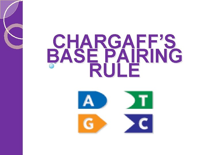 CHARGAFF’S BASE PAIRING RULE 