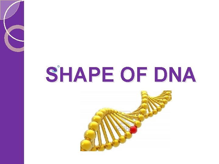 SHAPE OF DNA 