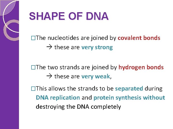 SHAPE OF DNA �The nucleotides are joined by covalent bonds these are very strong