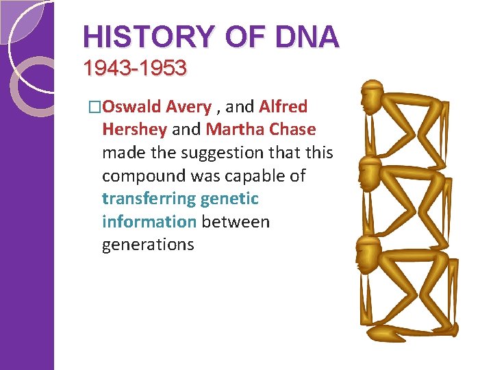 HISTORY OF DNA 1943 -1953 �Oswald Avery , and Alfred Hershey and Martha Chase