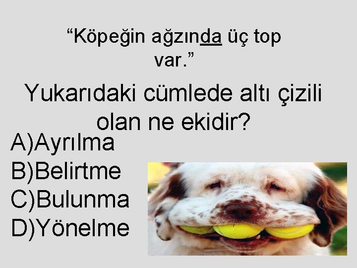 “Köpeğin ağzında üç top var. ” Yukarıdaki cümlede altı çizili olan ne ekidir? A)Ayrılma