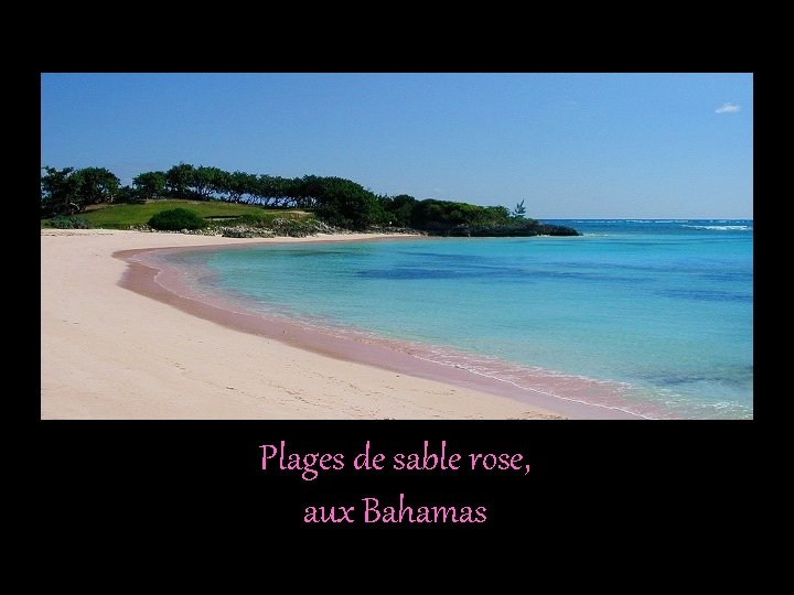 Plages de sable rose, aux Bahamas 