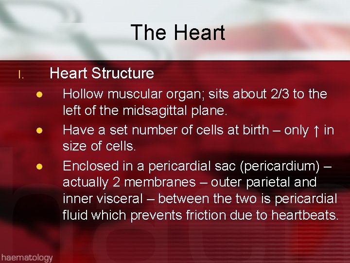 The Heart Structure I. l l l Hollow muscular organ; sits about 2/3 to