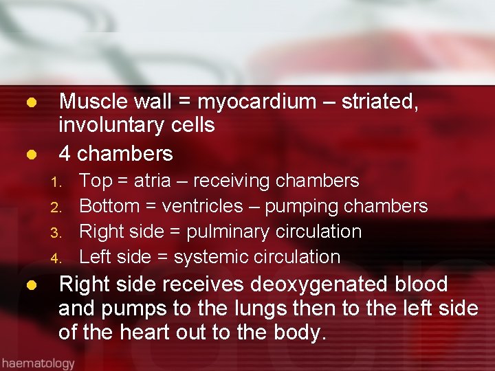 l l Muscle wall = myocardium – striated, involuntary cells 4 chambers 1. 2.