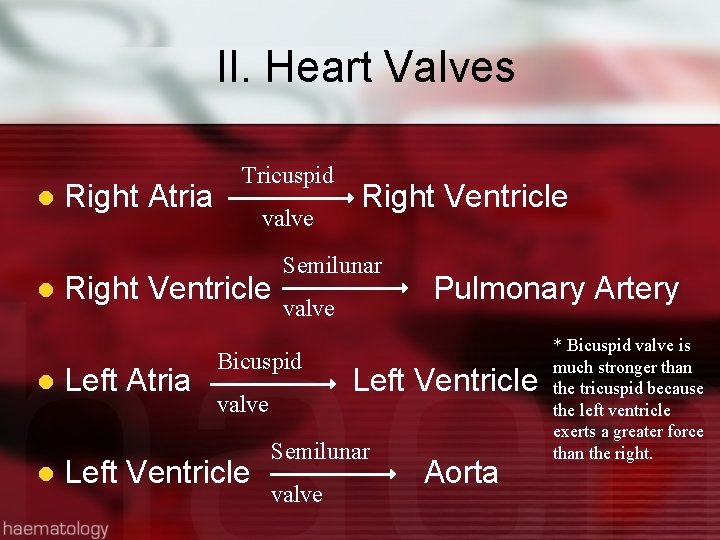 II. Heart Valves l l Right Atria Tricuspid valve Right Ventricle Left Atria Semilunar