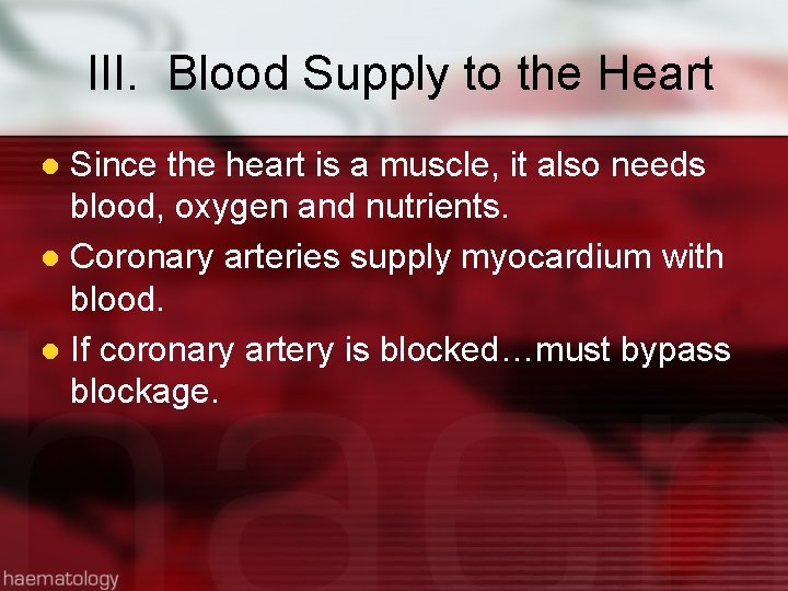 III. Blood Supply to the Heart Since the heart is a muscle, it also