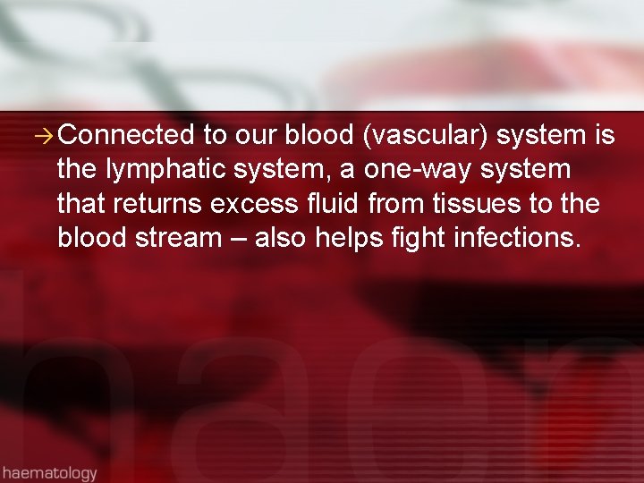  Connected to our blood (vascular) system is the lymphatic system, a one-way system