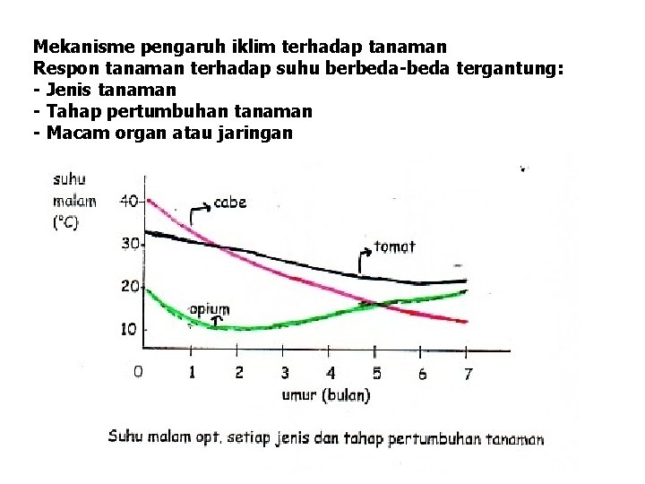 Mekanisme pengaruh iklim terhadap tanaman Respon tanaman terhadap suhu berbeda-beda tergantung: - Jenis tanaman