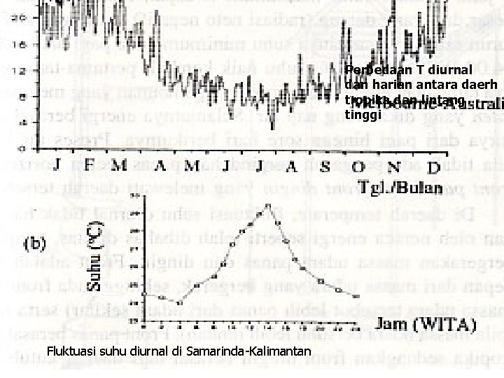 Perbedaan T diurnal dan harian antara daerh tropika dan lintang tinggi Fluktuasi suhu diurnal