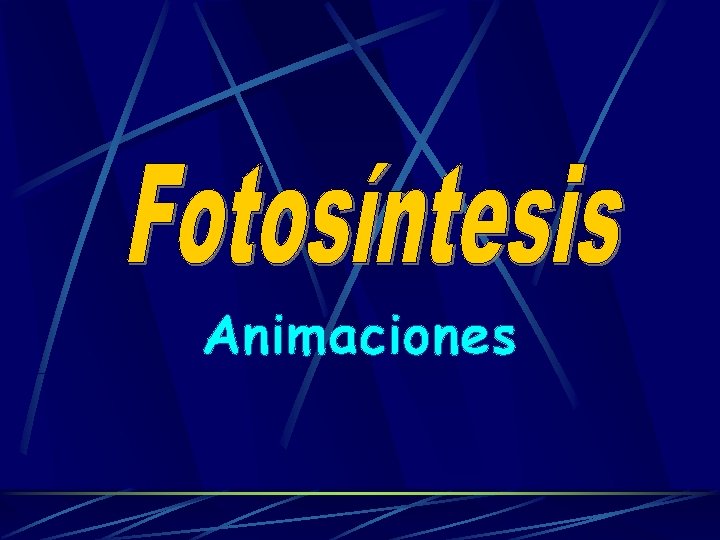 Animaciones 