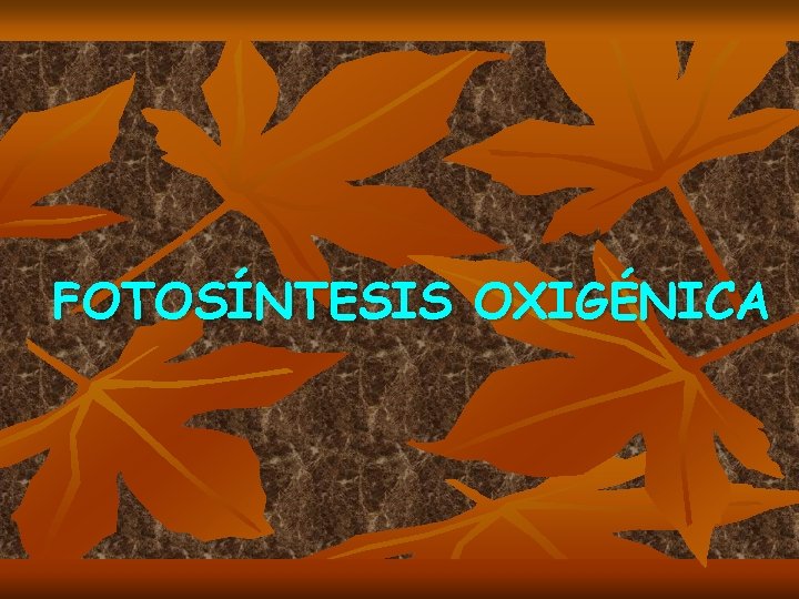 FOTOSÍNTESIS OXIGÉNICA 