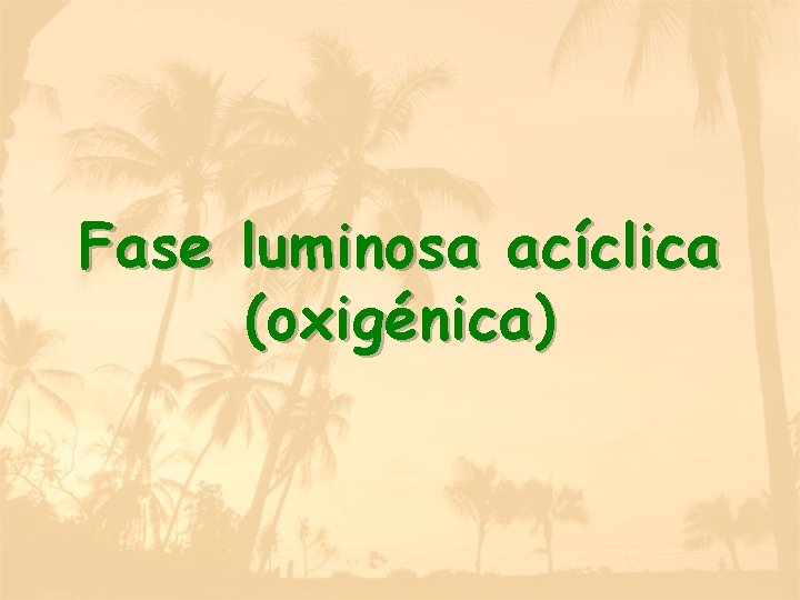 Fase luminosa acíclica (oxigénica) 