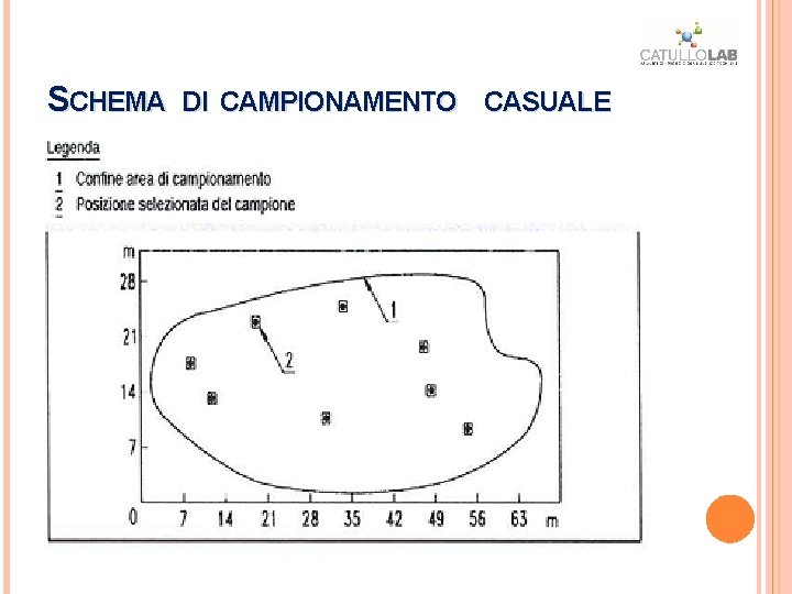SCHEMA DI CAMPIONAMENTO CASUALE SCHEMA DI CAMPIONAMENTO CASUALE