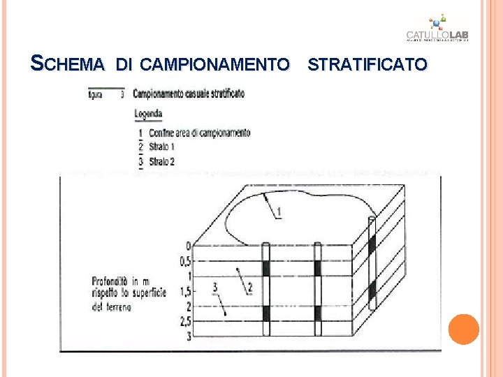 SCHEMA DI CAMPIONAMENTO STRATIFICATO SCHEMA DI CAMPIONAMENTO STRATIFICATO
