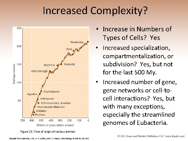 Increased Complexity? • Increase in Numbers of Types of Cells? Yes • Increased specialization,