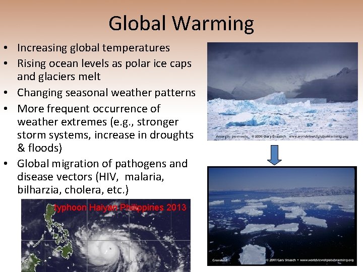 Global Warming • Increasing global temperatures • Rising ocean levels as polar ice caps