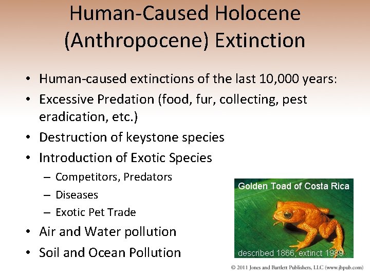 Human-Caused Holocene (Anthropocene) Extinction • Human-caused extinctions of the last 10, 000 years: •