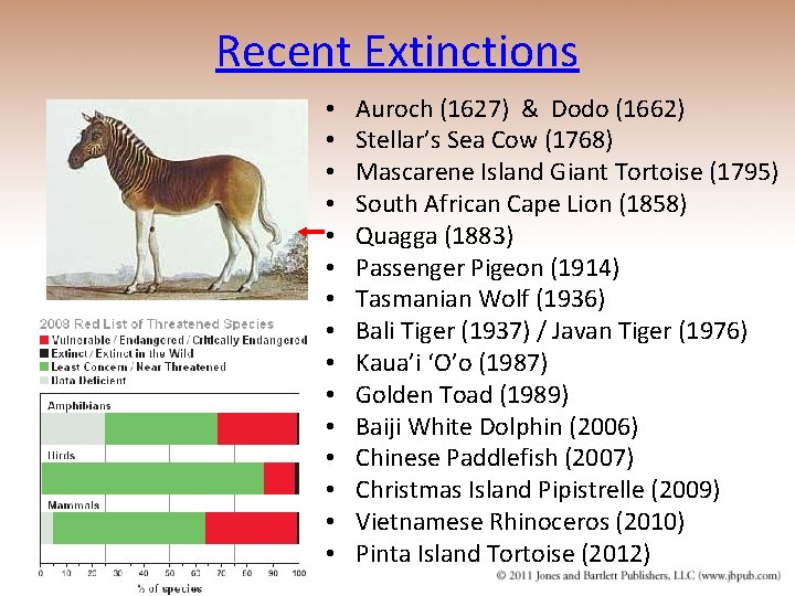 Recent Extinctions • • • • Auroch (1627) & Dodo (1662) Stellar’s Sea Cow