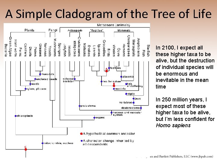 A Simple Cladogram of the Tree of Life In 2100, I expect all these