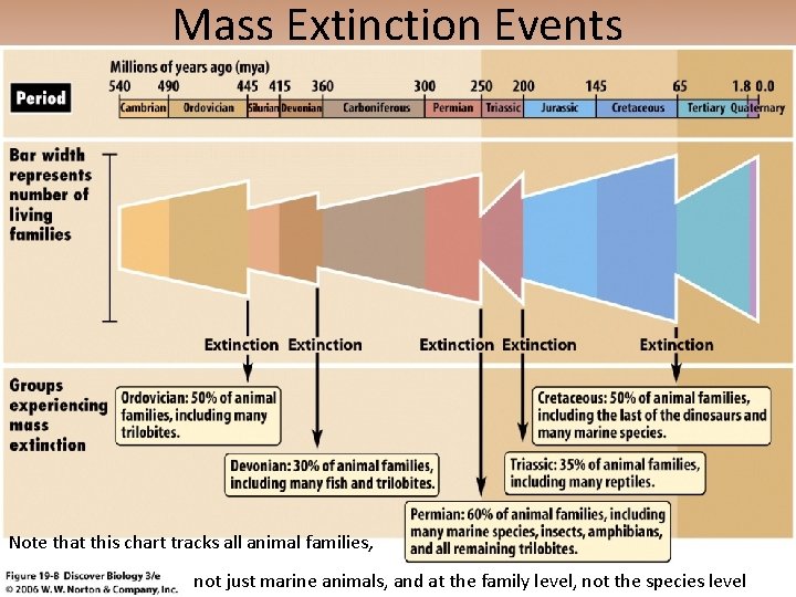 Mass Extinction Events Note that this chart tracks all animal families, not just marine