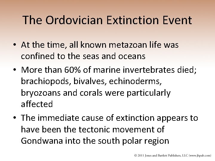 The Ordovician Extinction Event • At the time, all known metazoan life was confined