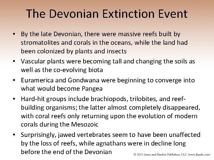 The Devonian Extinction Event • By the late Devonian, there were massive reefs built